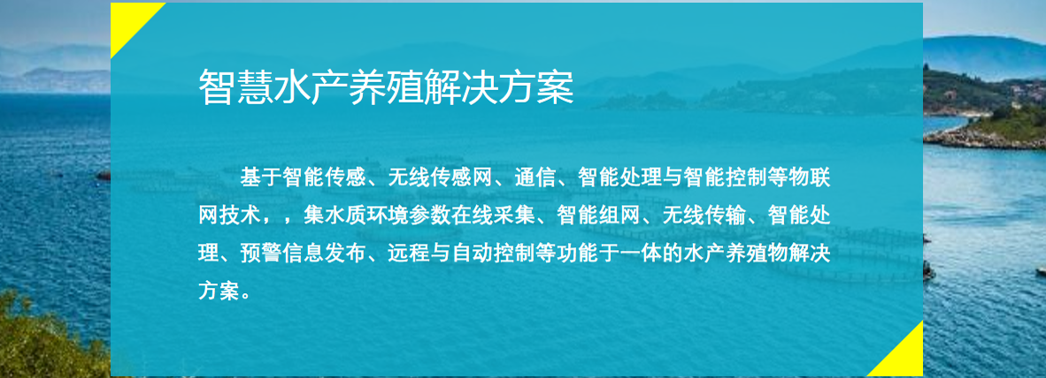 智慧农业-智慧水产养殖